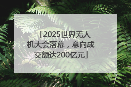 2025世界无人机大会落幕，意向成交额达200亿元